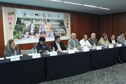 foro